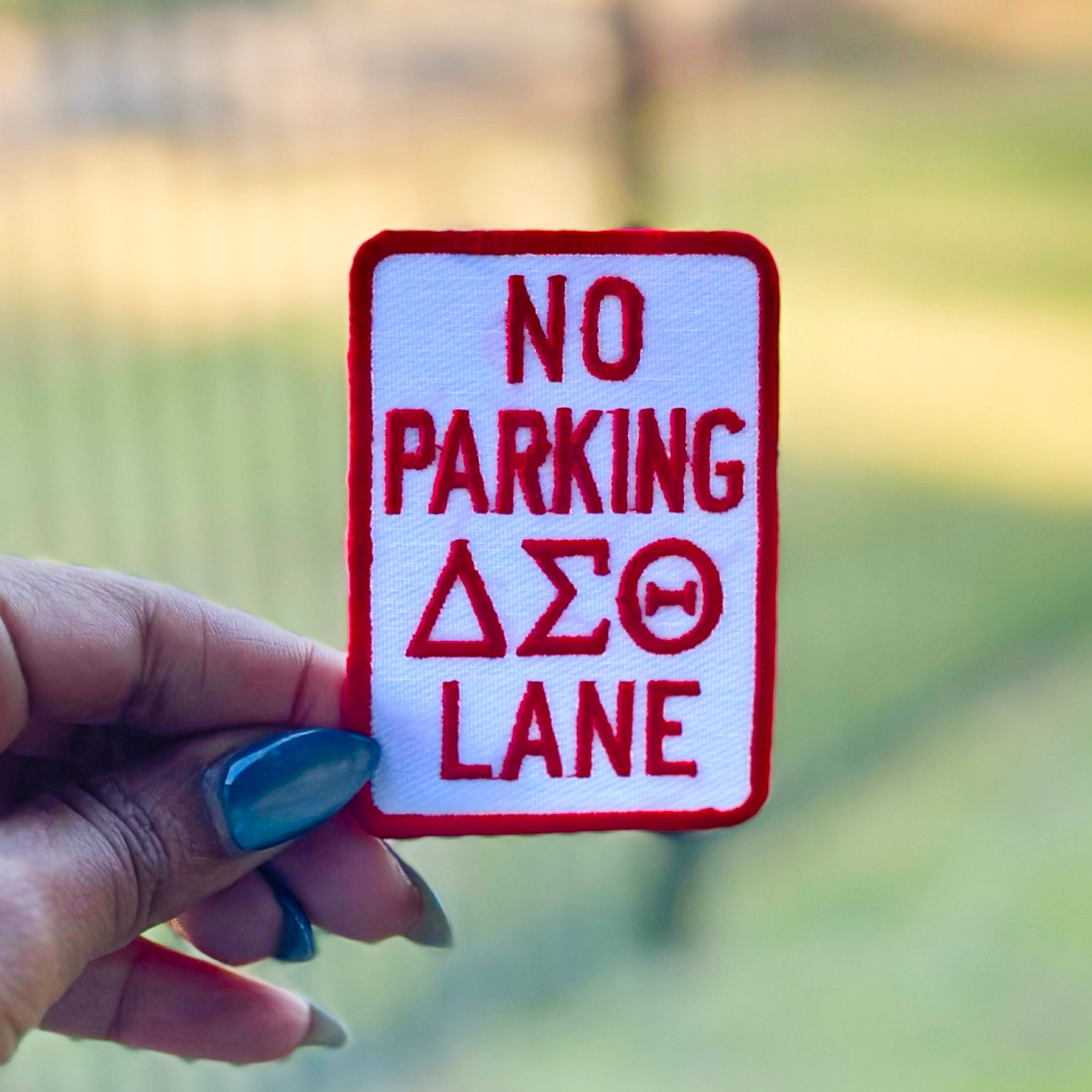 No Parking DST Lane